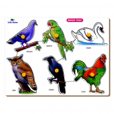 Birds - Pigeon Tray